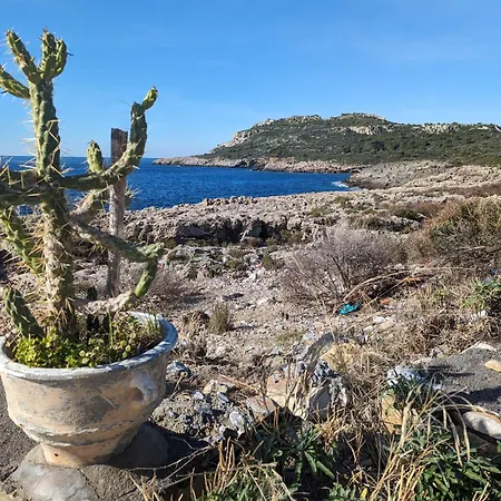 Kipaki-trachila Mani