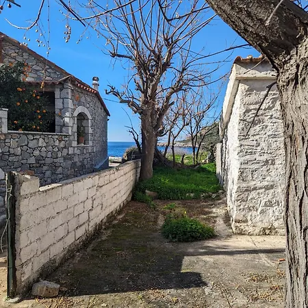 Kipaki-trachila Mani * Trakhila