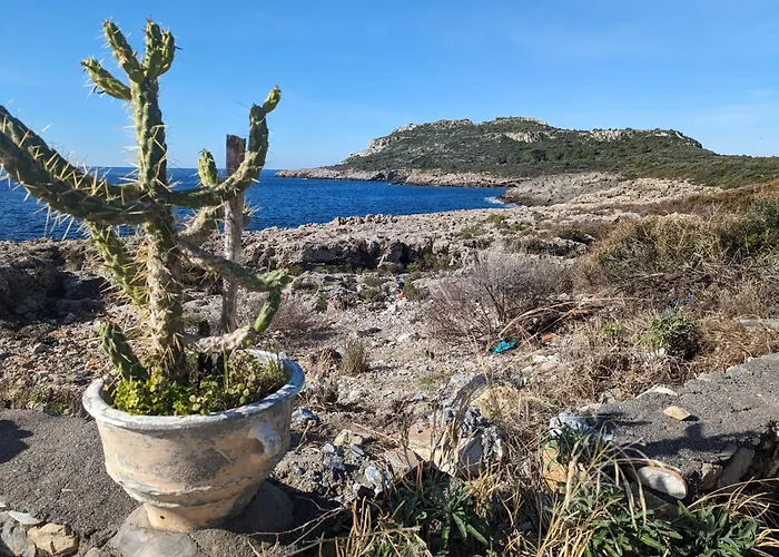 Kipaki-trachila Mani