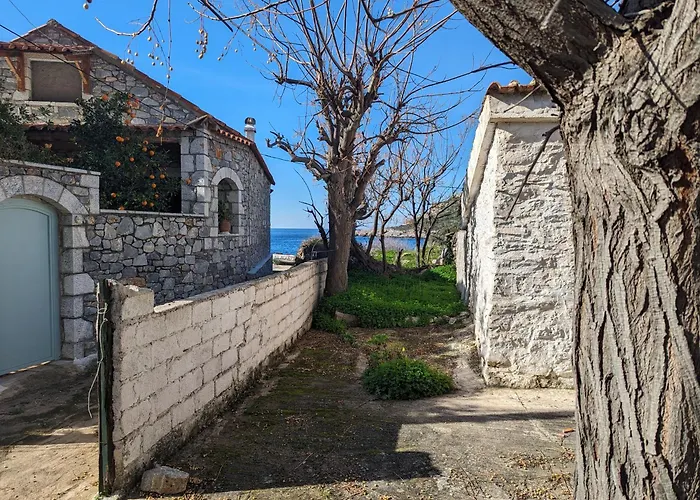 Kipaki-trachila Mani * Trakhila